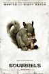 Squirrels | Horror