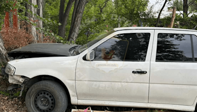 Murió: chocó contra un árbol en Plottier y lo llevaron al hospital: lo encontraron sentado al lado del auto - Diario Río Negro