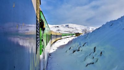Tren Patagónico en Río Negro: estos son los precios de los pasajes para viajar de Bariloche a San Antonio Oeste - Diario Río Negro