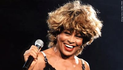 City of Brownsville plans statue to honor Tina Turner