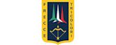 Frecce Tricolori