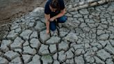 El deshidratado estado de California pierde una oportunidad de almacenar más lluvia en el subsuelo