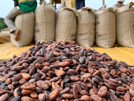 Exclusive: Traders face $1 billion loss on faltering Ghana cocoa supply, sources say