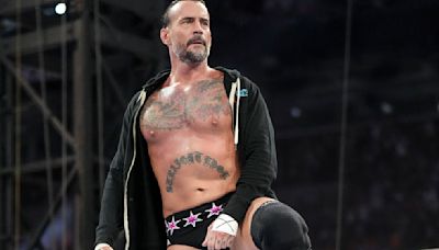 WWE's Shawn Michaels Addresses Idea Of CM Punk Running NXT After Him - Wrestling Inc.