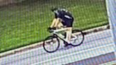 Can you help ID a bicycle rider who struck an elementary student in Dover Township?