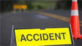 Car trying to avoid hitting leopard overturns, woman killed - The Shillong Times