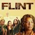 Flint (film)