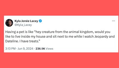 21 Of The Funniest Tweets About Cats And Dogs This Week (June 8-14)