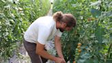 Love of farming, nature led Marshall couple to create fresh food, event business