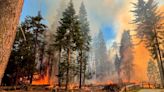 Giant Sequoias In Yosemite Threatened By Raging Wildfire