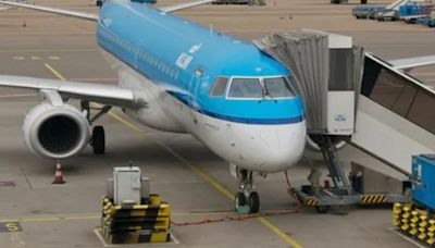 Investigators can't tell if person sucked into KLM engine 'was a man or a woman'