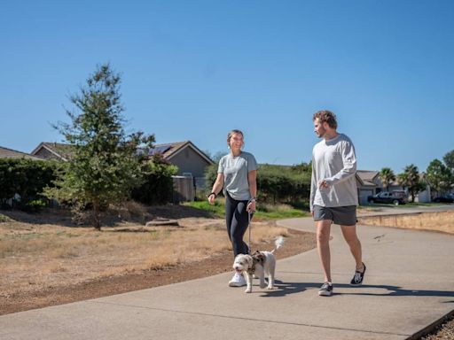 Is it safe to walk your dog during California heat wave? How hot weather can harm pets