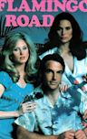 Flamingo Road (TV series)