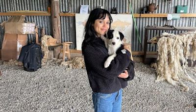 Hollywood star spotted making friends at Kildare sheepdog farm