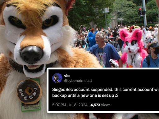 'they didnt want us posting': Furry hacker collective suspended after teasing breach of right-wing think tank