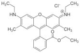 Rhodamine 6G