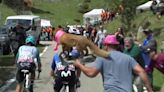 Un zorro fue protagonista en la etapa 20 del Giro de Italia