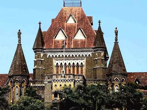 Bombay high court to doctors: Can woman with cancer end 24-weak pregnancy? | Mumbai News - Times of India