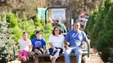 Here’s where to buy a real Christmas tree in SLO County