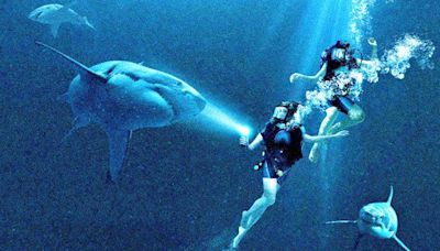 ‘47 Meters Down’ Threequel ‘The Wreck’ Launching At Cannes Market For Byron Allen, Tea Shop & FilmNation; Patrick...