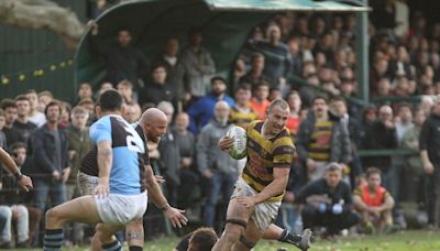 Joaquín Moro jugó al básquetbol, estudia Medicina, debutó en los Pumas y regresó a Belgrano, líder del Top 12