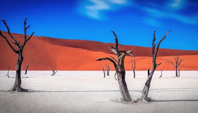Namibia: Where desert meets ocean