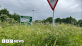 Overgrown grass in Derby leads to 'deluge' of complaints