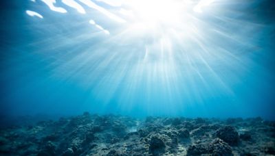 Three oceanographic scientists secure top honours at marine conference