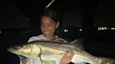 Florida fishing: Mullet are moving; are sharks, snook, tarpon biting? Depends