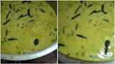 Video: Rat found swimming inside large vessel of chutney at university mess in Hyderabad