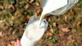 紐西蘭液態乳明年免關稅賣到台灣 食藥署配合修正效期30天以上應標示「長效鮮乳」 | 醫藥健康 - 太報 TaiSounds