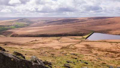 West Yorkshire moor found to store more than a million tonnes of carbon