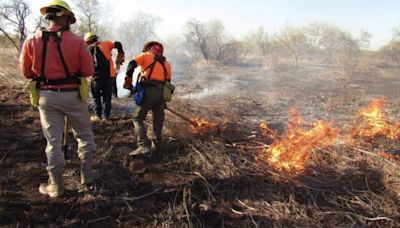 Control y liquidación de incendio forestal en Quiriego