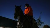 Not all of Kentucky Derby's hardest workers are in the race. Meet the escort horses