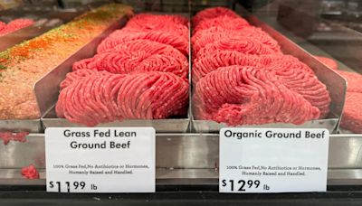 E. coli found in ground beef and walnuts. Here's what to know.