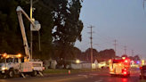 Police: Driver's crash downs utility pole, more cars collide