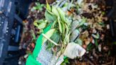Gardeners: Here's Everything You Need to Know about Using Organic Fertilizer