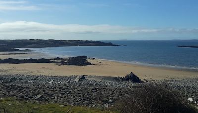 Galloway chosen as preferred location of Scotland's third national park