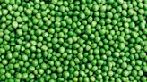 Which type of peas is healthiest — canned, frozen or fresh? Dietitians break it down