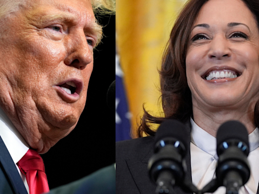 US election 2024 documentary on Donald Trump, Kamala Harris' campaigns is releasing. Check date