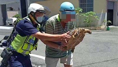 屏東潮州警積極協助迷途烏龜找到飼主返家 | 蕃新聞