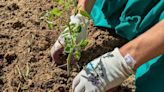 Horticultura terapéutica con Biak Bat