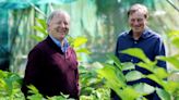 Crocus founders on the Chelsea Flower Show: ‘It’s not necessarily about horticulture at the highest level’