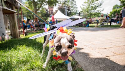 Rainbows, drag brunches and parades: 2024 Pride month events in Cincinnati