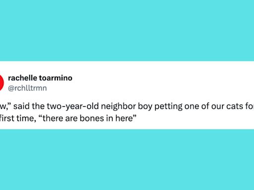 22 Of The Funniest Tweets About Cats And Dogs This Week (June 22-28)