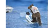 NSBC Recognizes Twiggy the Water Skiing Squirrel with the 2024 Silver Schooner Award