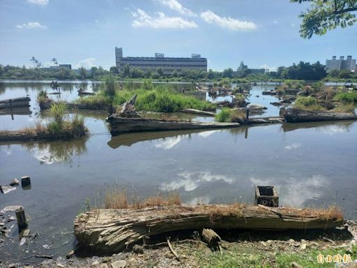 百年羅東林場貯木池高溫少雨水位下降 外界憂淪一灘死水