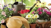 Town & Country Garden Club offers annual spring plant share