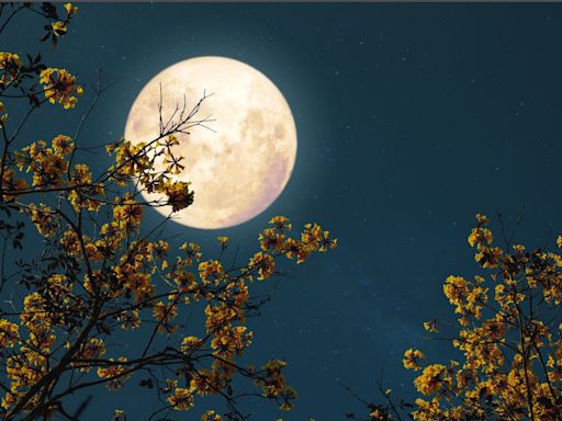 When to see the full moon in May 2024, nicknamed the ‘flower moon’