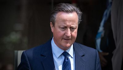 David Cameron resigns as Sunak names shadow cabinet